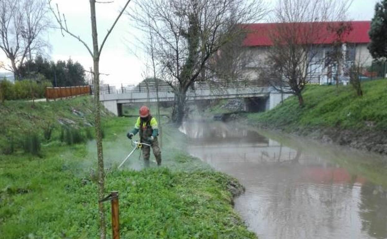 Un operario siega las plantas del cauce. 