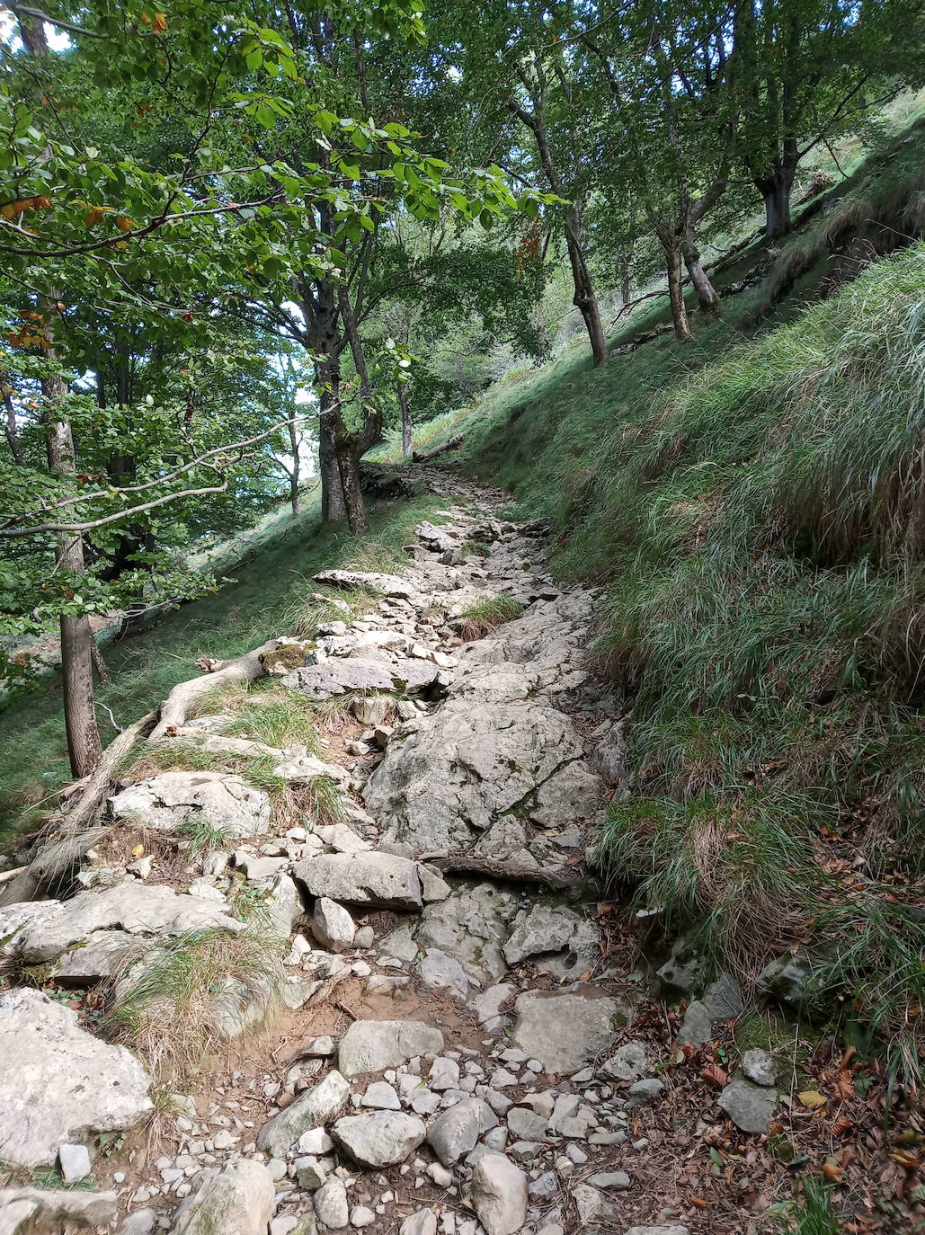 Fotos: Hayedo de Upo (cima: Upo)