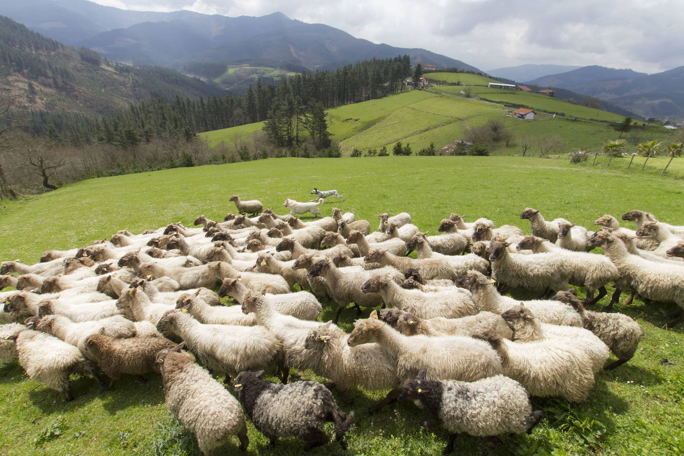 Fotos: Una ruta por Zeberio y sus ermitas