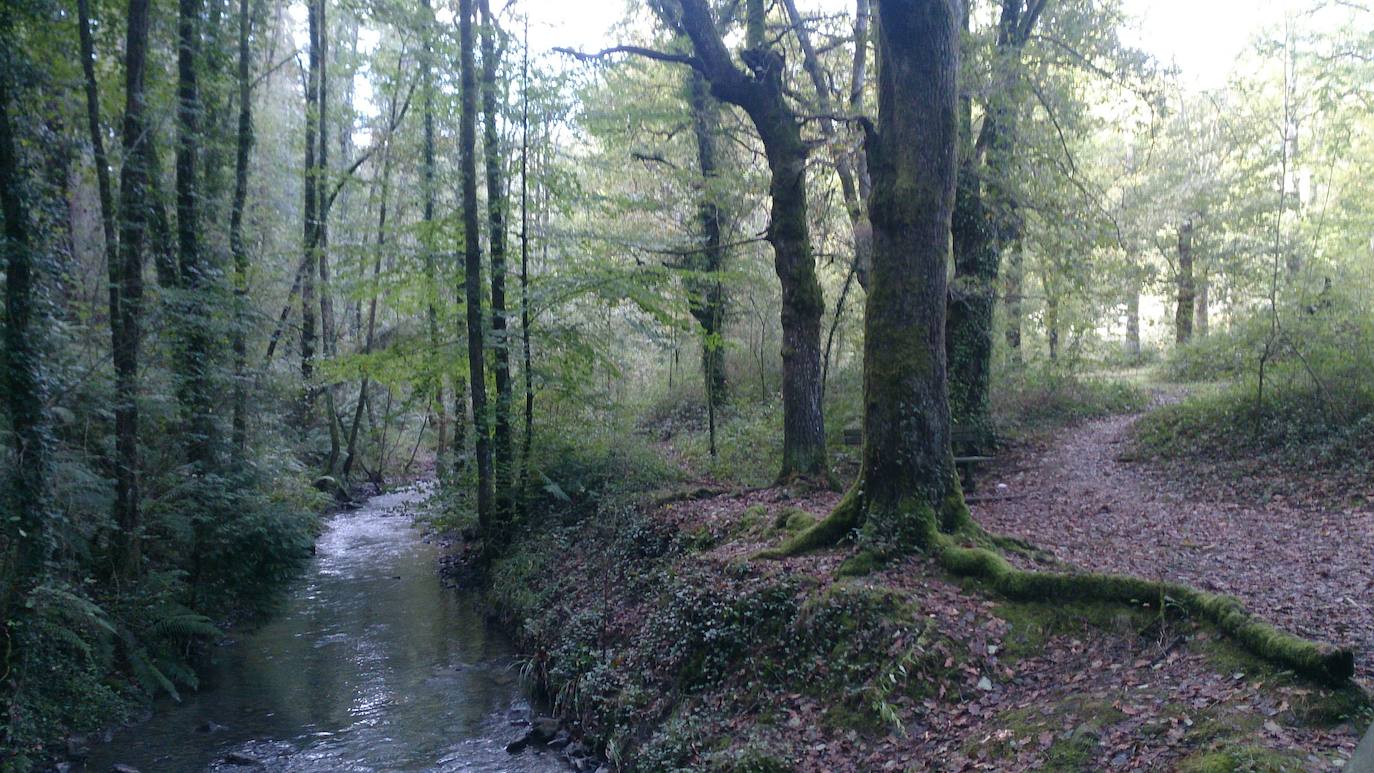 Fotos: Una ruta por Zeberio y sus ermitas