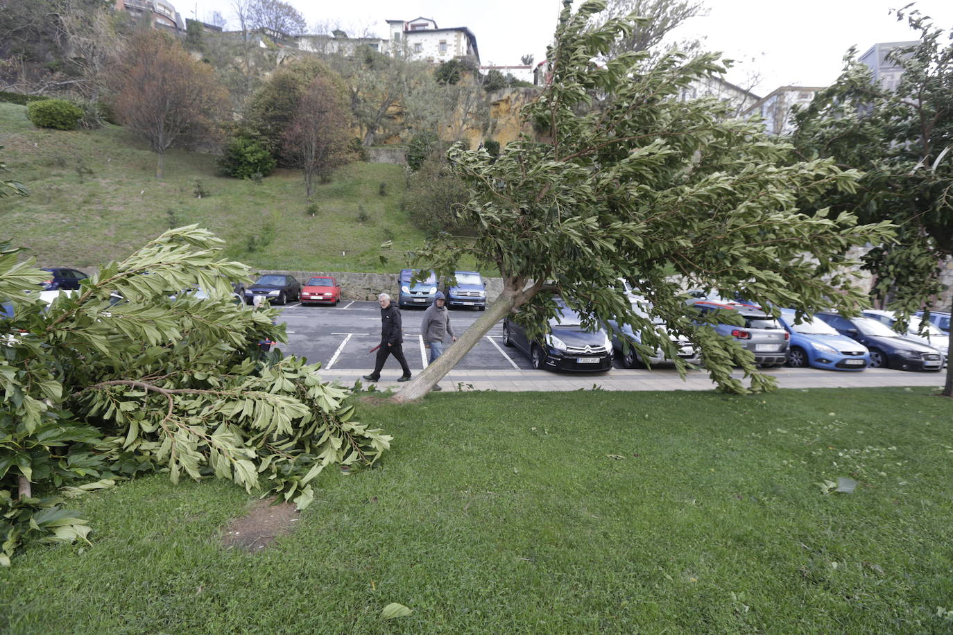 Fotos: Las imágenes del viento en Bizkaia