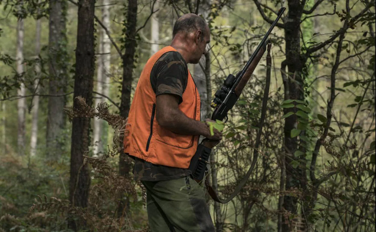 Los ecologistas: «La caza no es la solución, si hay jabalís es porque faltan lobos»