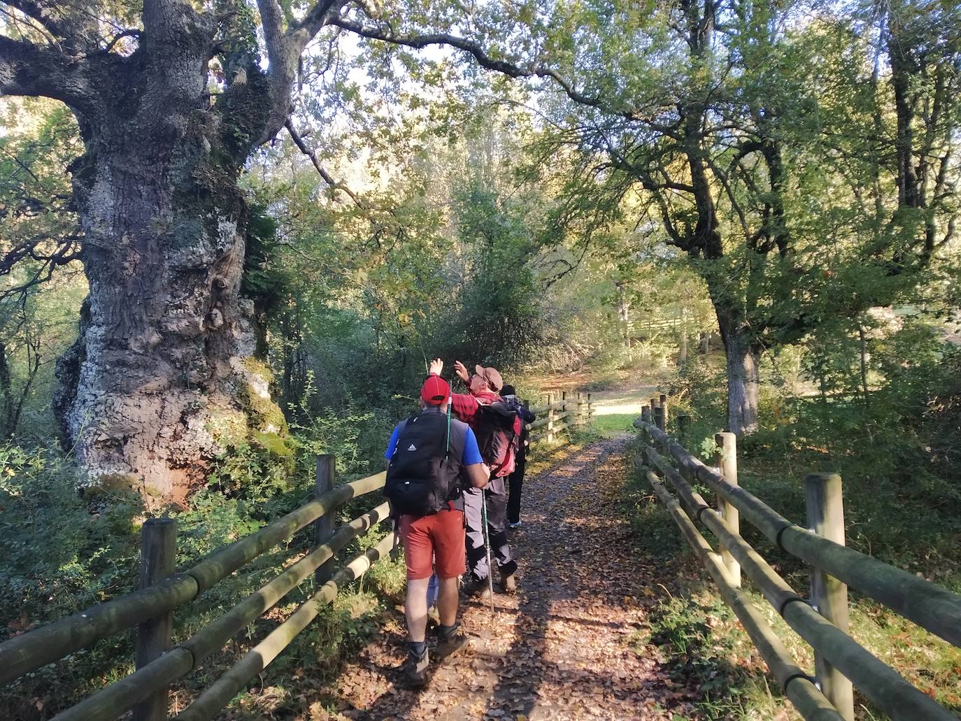 Josu Belmonte cuenta la historia de los arimotxes