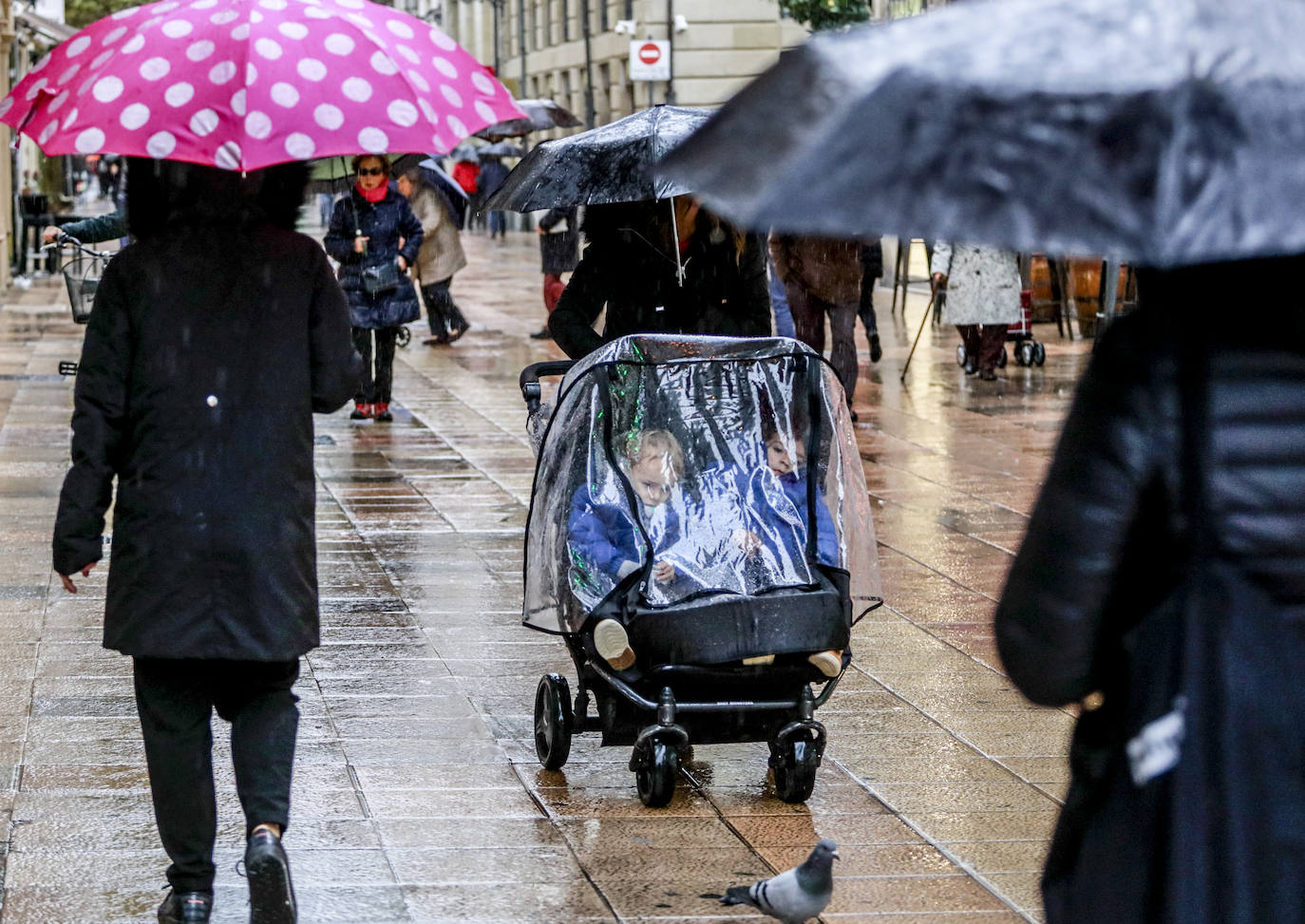 Fotos: Primeras nieves y persistentes lluvias en Álava