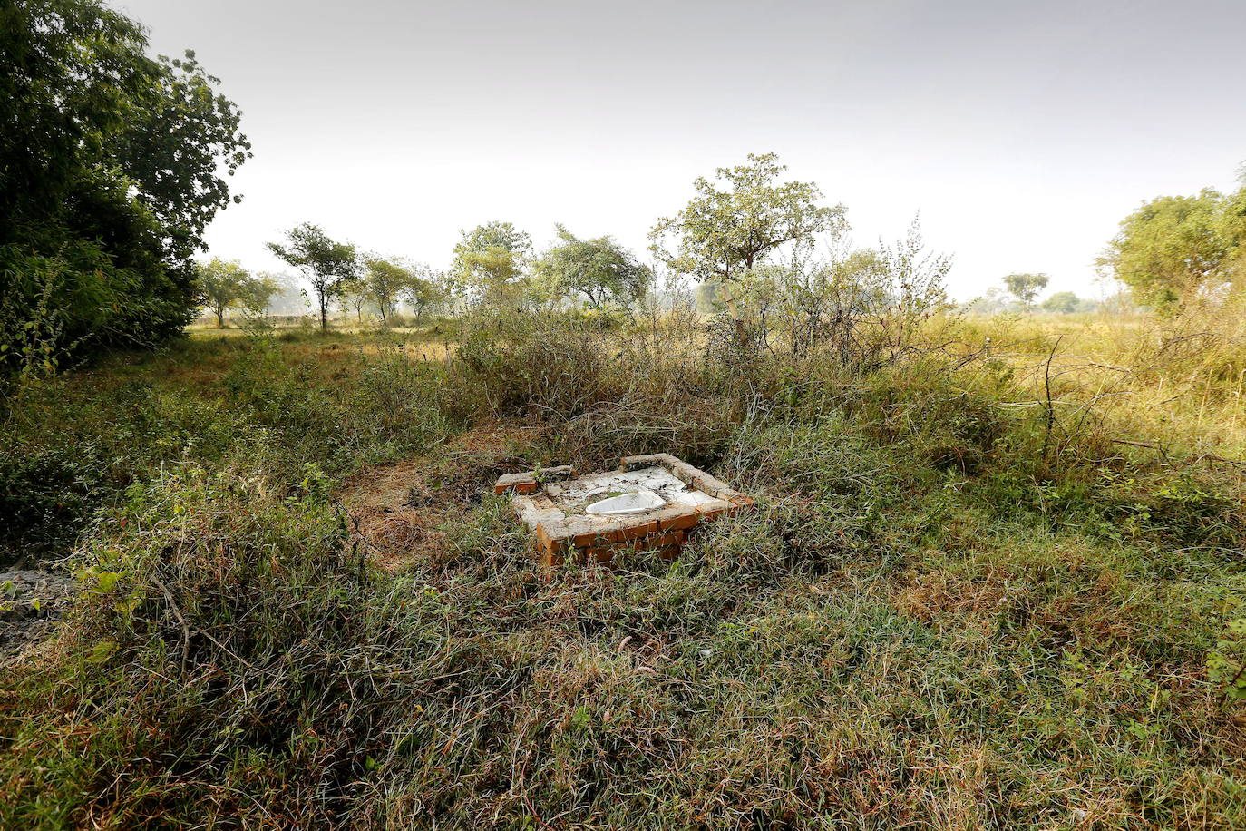 Baño abierto en un campo en Gorba, en el estado indio oriental de Chhattisgarh, India. 