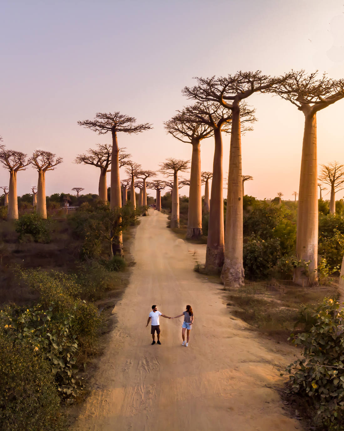 Avenida de los baobabs en Madagascar.