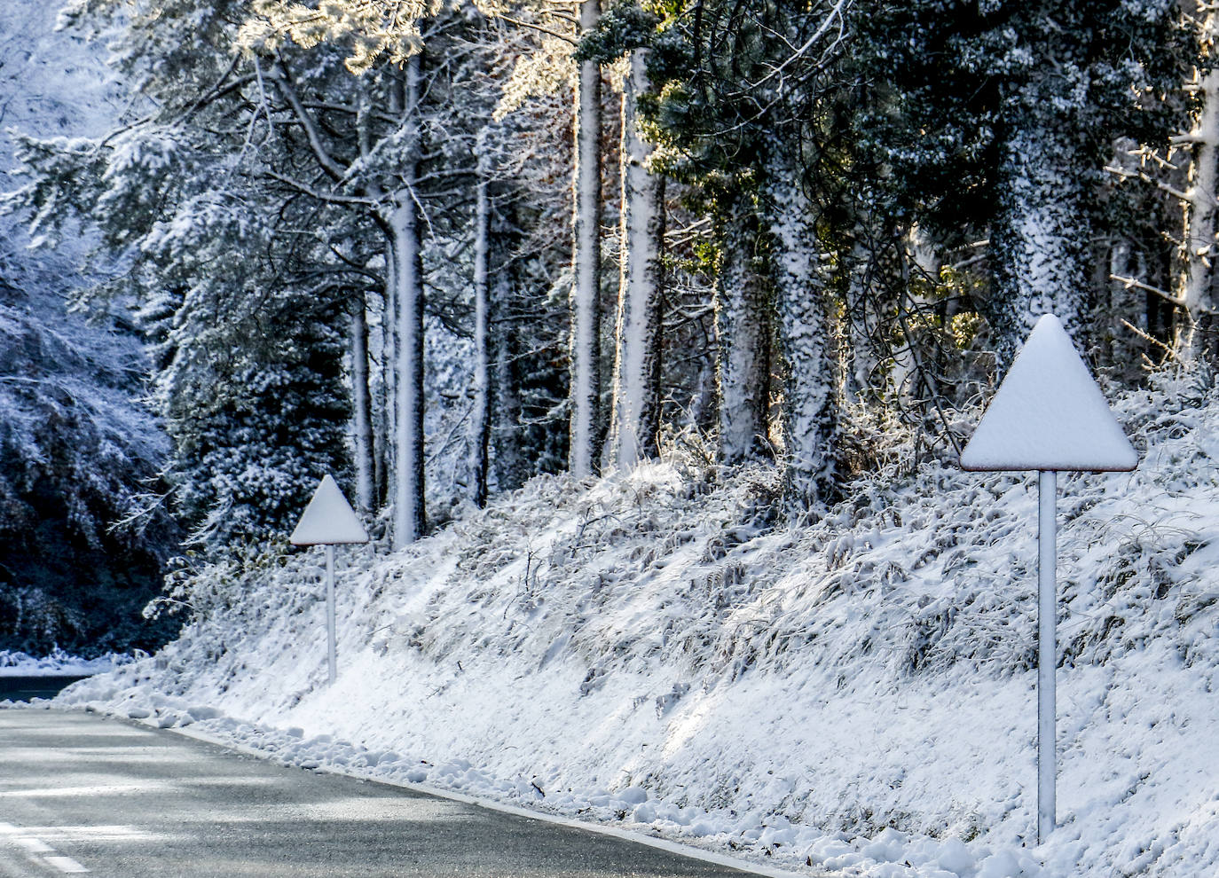 Fotos: Estampas que deja hoy la nieve en Herrera