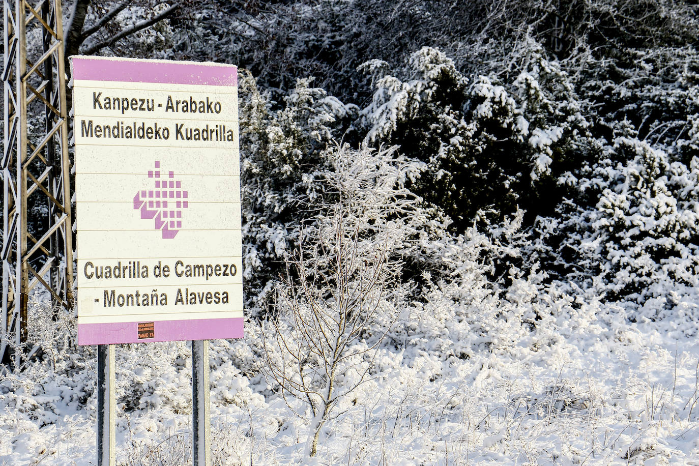 Fotos: Estampas que deja hoy la nieve en Herrera