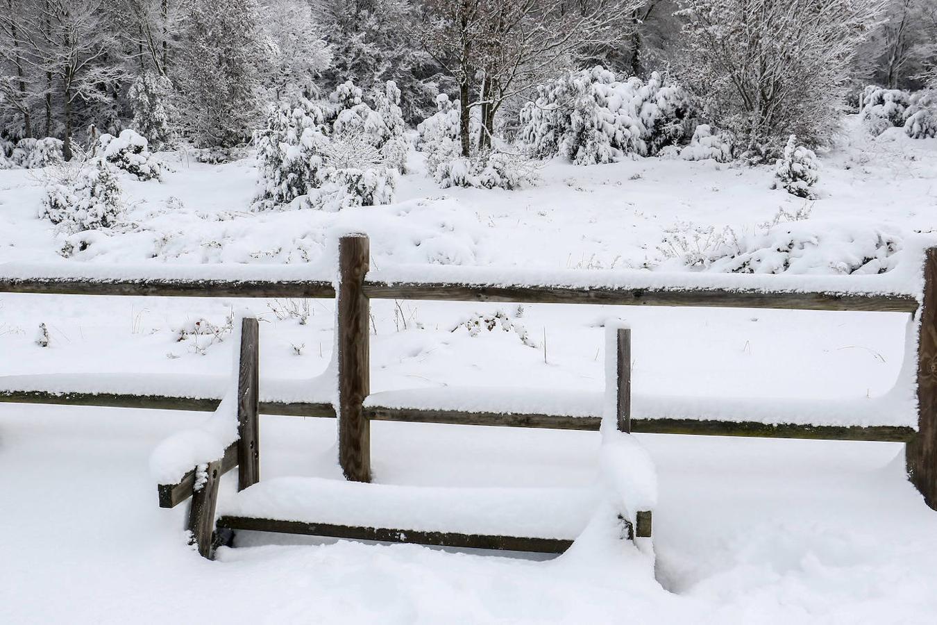 Fotos: Estampas invernales en los puertos alaveses