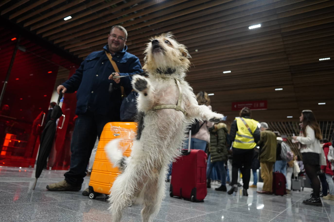 Fotos: El estreno de la estación intermodal, en imágenes