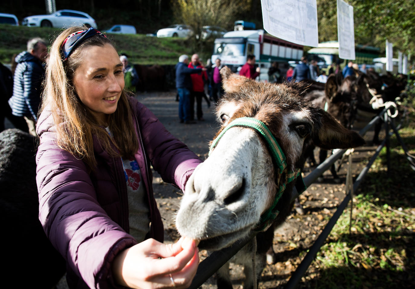 Fotos: Gordexola disfruta de su feria ganadera, agrícola y de artesanía
