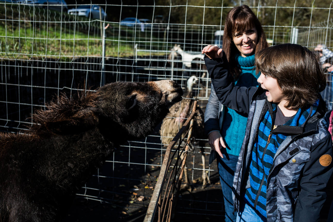 Fotos: Gordexola disfruta de su feria ganadera, agrícola y de artesanía