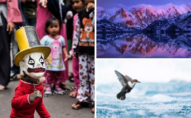 A la izquierda, 'Actuando bajo presión'. Arriba, 'Agujas rocosas en el lago' y abajo, 'Mirlos acuáticos en vuelo'.