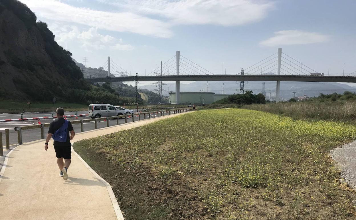 Muskizko Udalak laguntza psikologikoa behar duten bizilagunei zuzentzen die zerbitzu hau. 