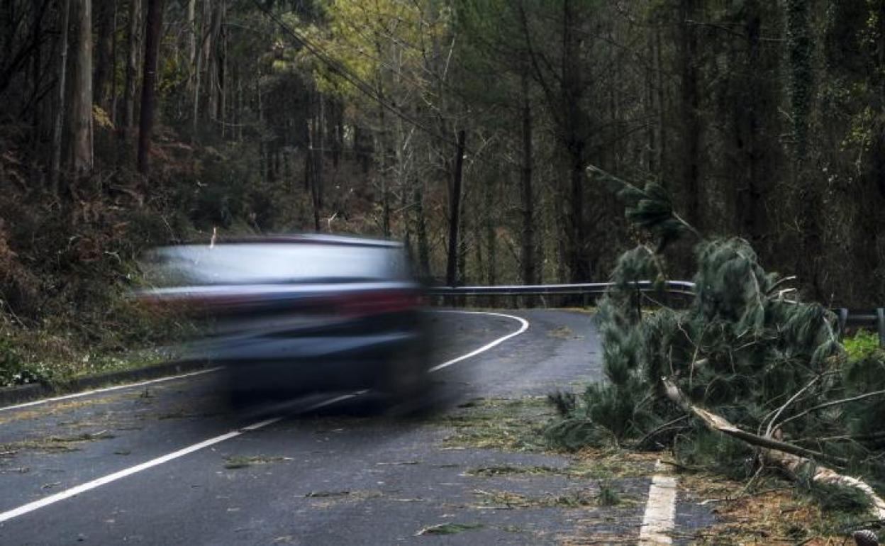 Seis personas heridas por el temporal en Euskadi y un fallecido en Iparralde