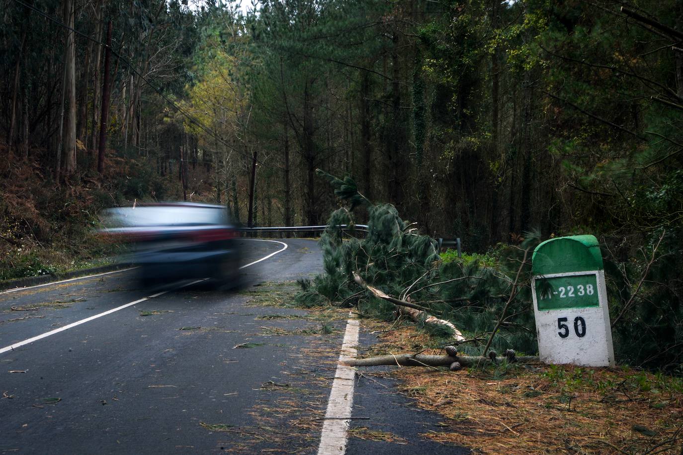 Árboles caídos y carreteras cortadas a los alrededores de Lekeitio. 