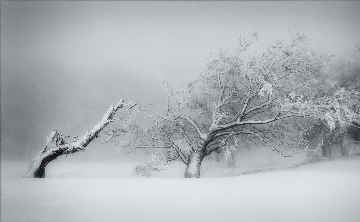 Primer premio: 'Legaire', de Juan José López.