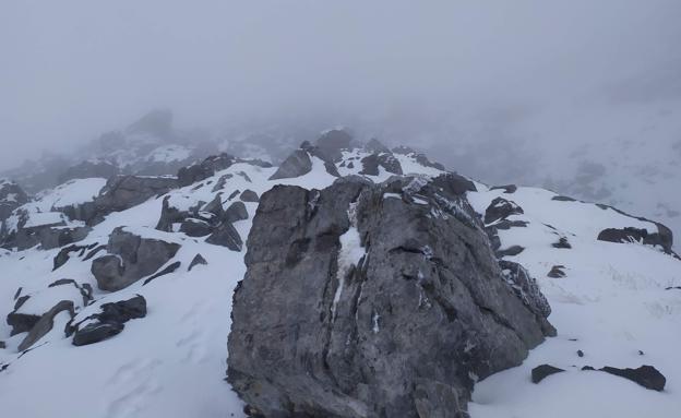 La niebla apenas dejaba ver nada.