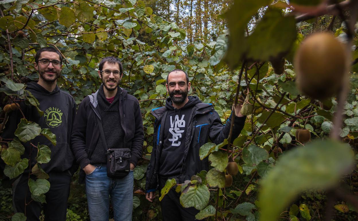 Martín Beraza, Gorka Menéndez y Eñaut Zarrabeitia, en la plantación.