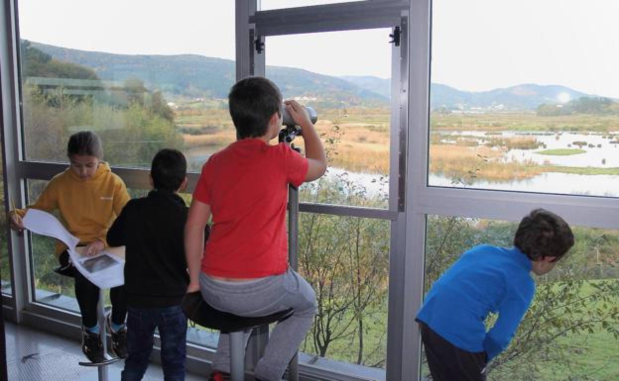 Umen talde txiki bat Urdaibai Bird Centerreko behatokian hegaztiak ikusten 