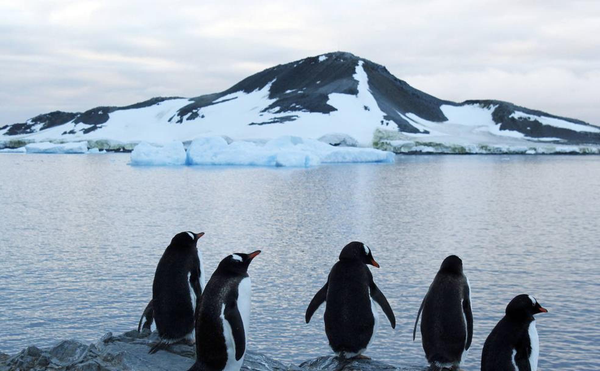 La Antártida, el codiciado destino del 'turismo de última oportunidad'