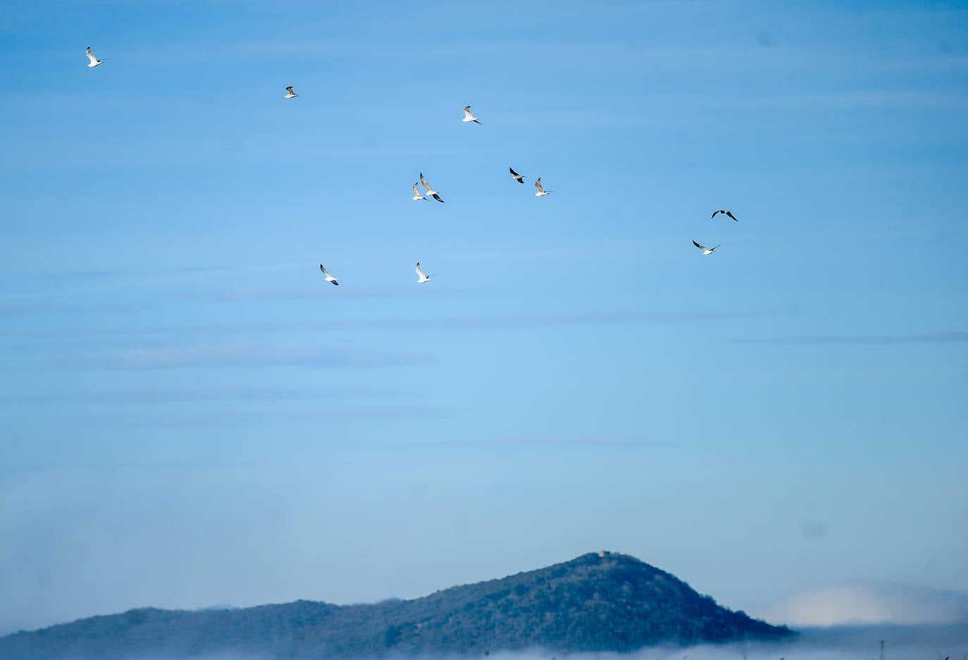 El frío y los bancos de niebla han vuelto a ser protagonistas en Álava. Tobillas, con -5,7 grados, ha marcado la mínima este 2 de enero en el territorio histórico. Salvatierra y Antoñana, con -3,6, y Vitoria, con -2,6 grados, son otros de los rincones de la geografía alavesa donde las temperaturas han caído por debajo de cero.