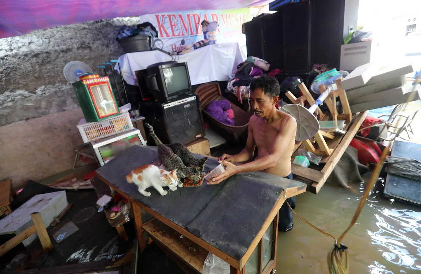 Un hombre alimenta a dos gatos en su casa arrasada por las inundaciones de Indonesia.