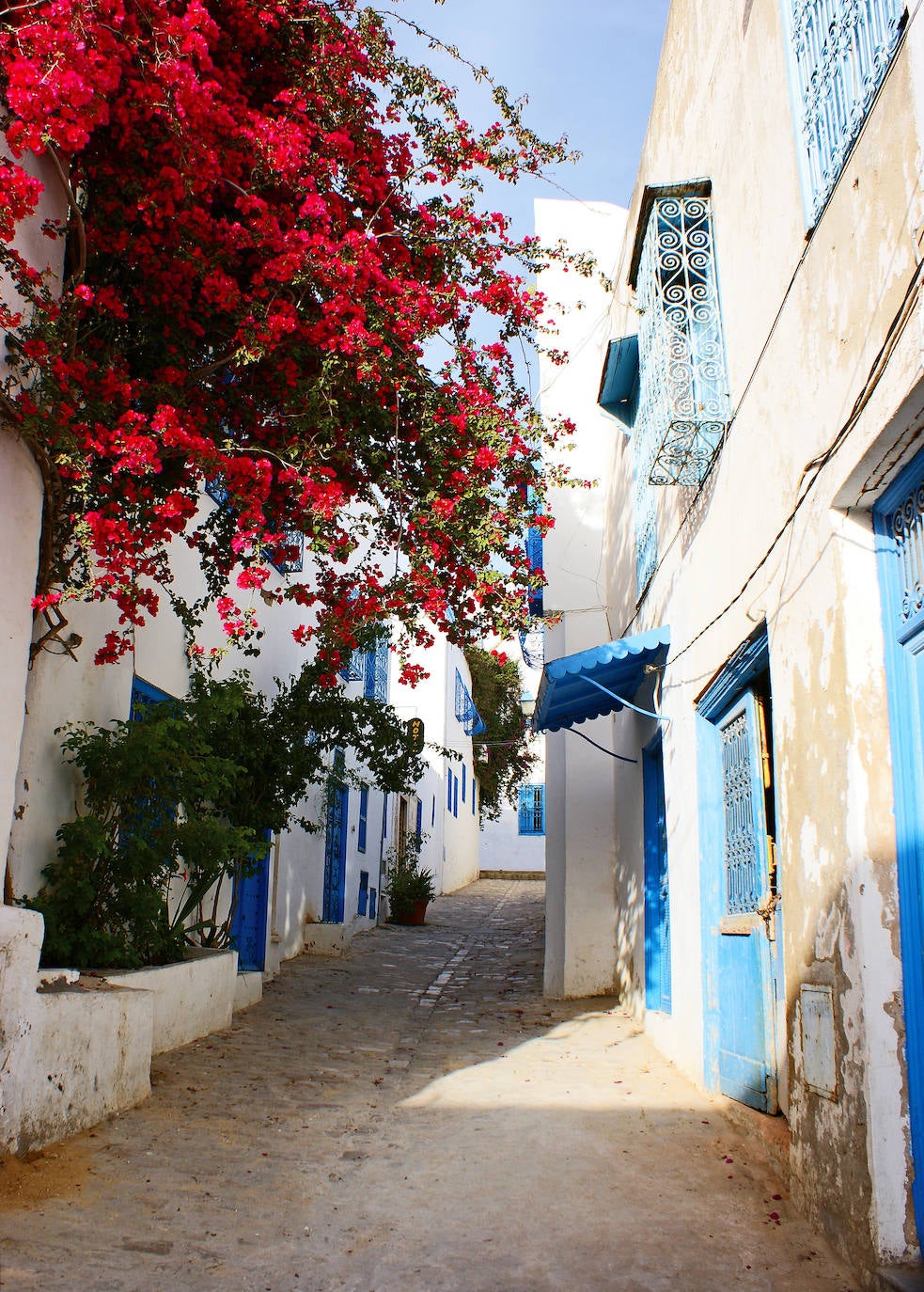 Túnez es un destino exótico lleno de encanto, enclavado entre el Mediterráneo y el Sáhara, que atrae a un gran número de visitantes por su módico precio y la belleza de pueblos costeros como Sidi Bou Said.