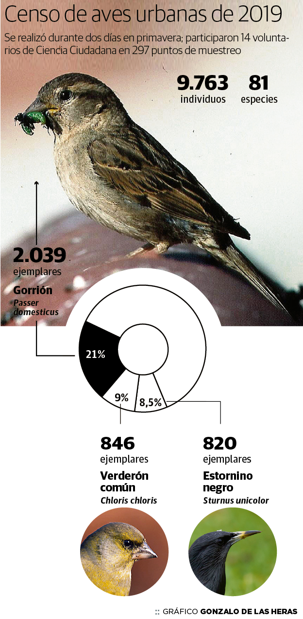 Censo de aves urbanas 2019. 