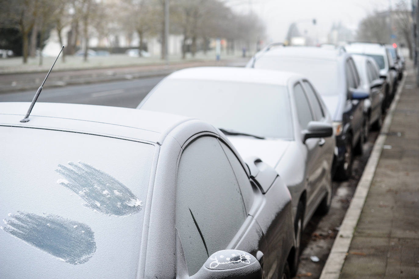 Fotos: Alava amanece de nuevo con heladas