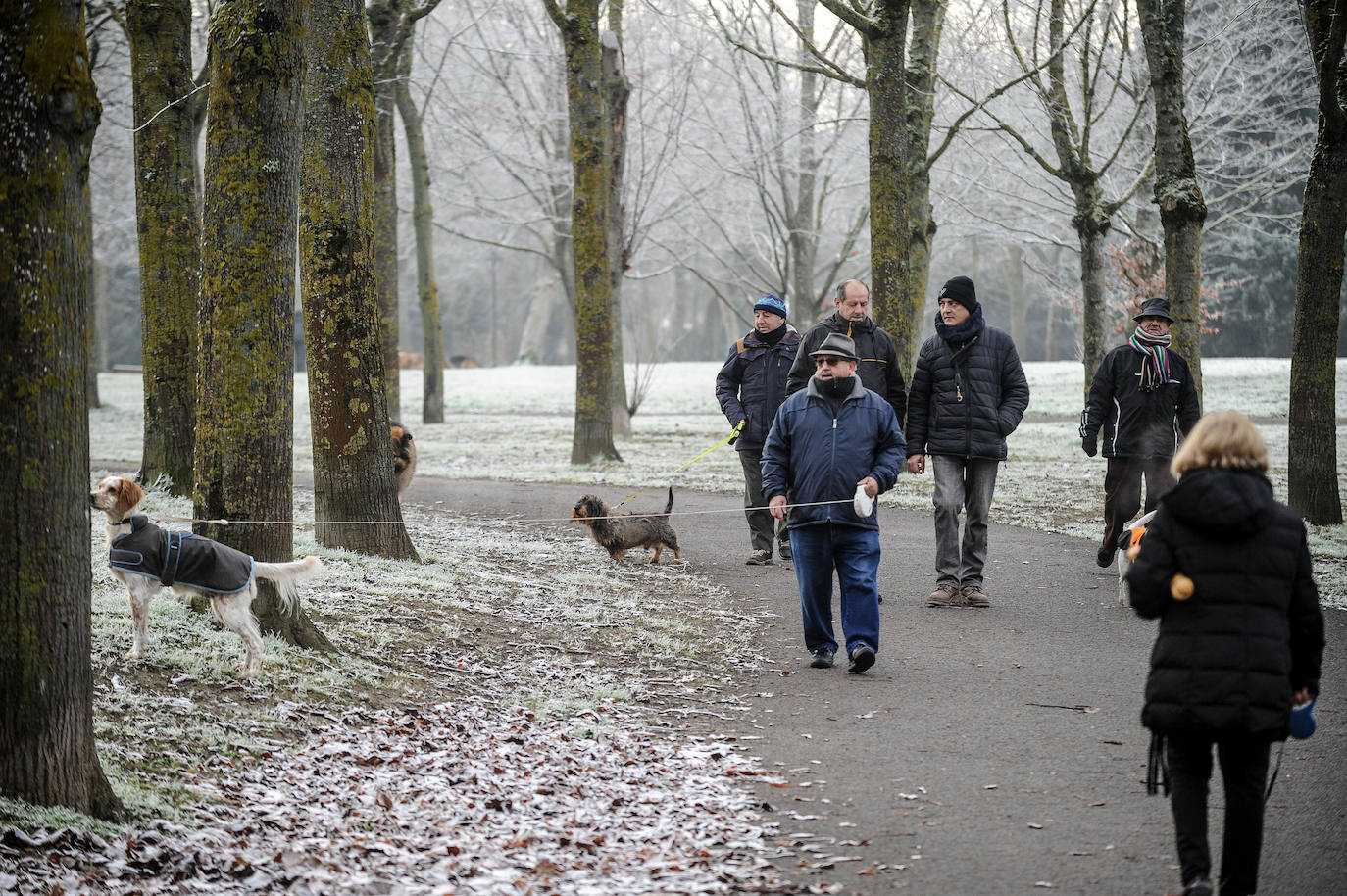 Fotos: Alava amanece de nuevo con heladas
