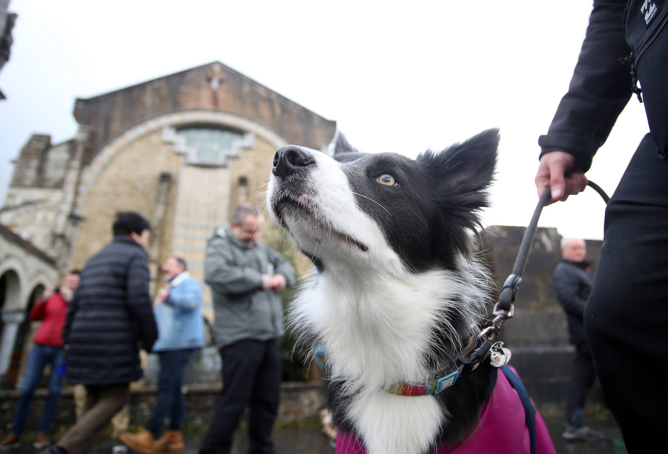 Numerosos fieles acudieron a Urkiola en el día de San Antonio para bendecir a sus mascotas.