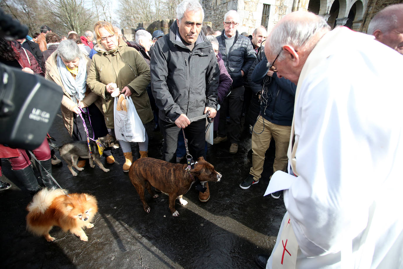 Numerosos fieles acudieron a Urkiola en el día de San Antonio para bendecir a sus mascotas.
