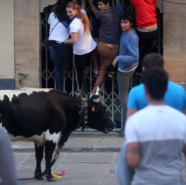 Sólo nueve localidades vizcaínas celebraron en 2019 festejos taurinos