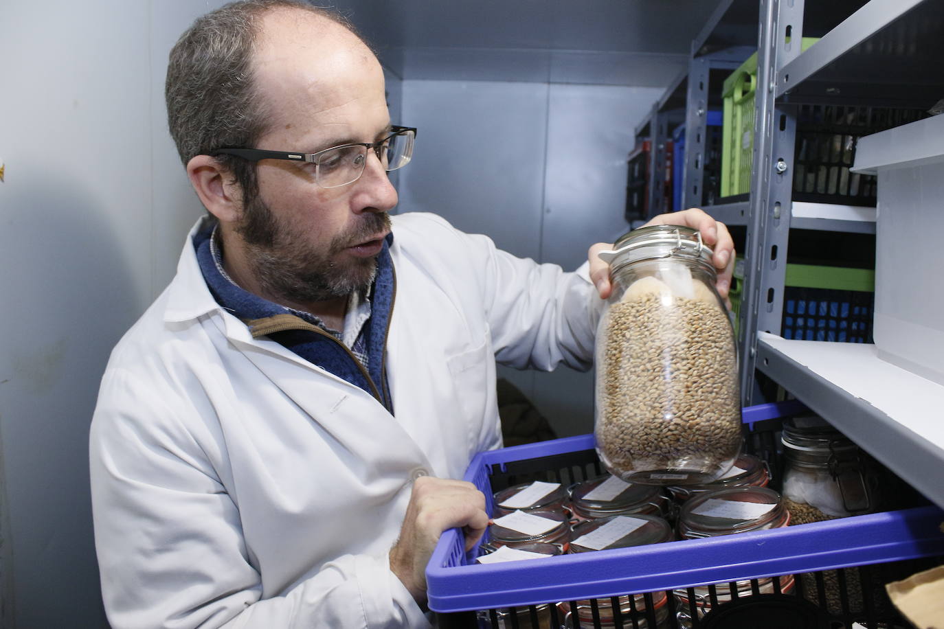 Es en la sala frigorífica, siempre con una temperatura constante de diez grados, es donde se conservan todos los ejemplares para que sean plantadas en un futuro