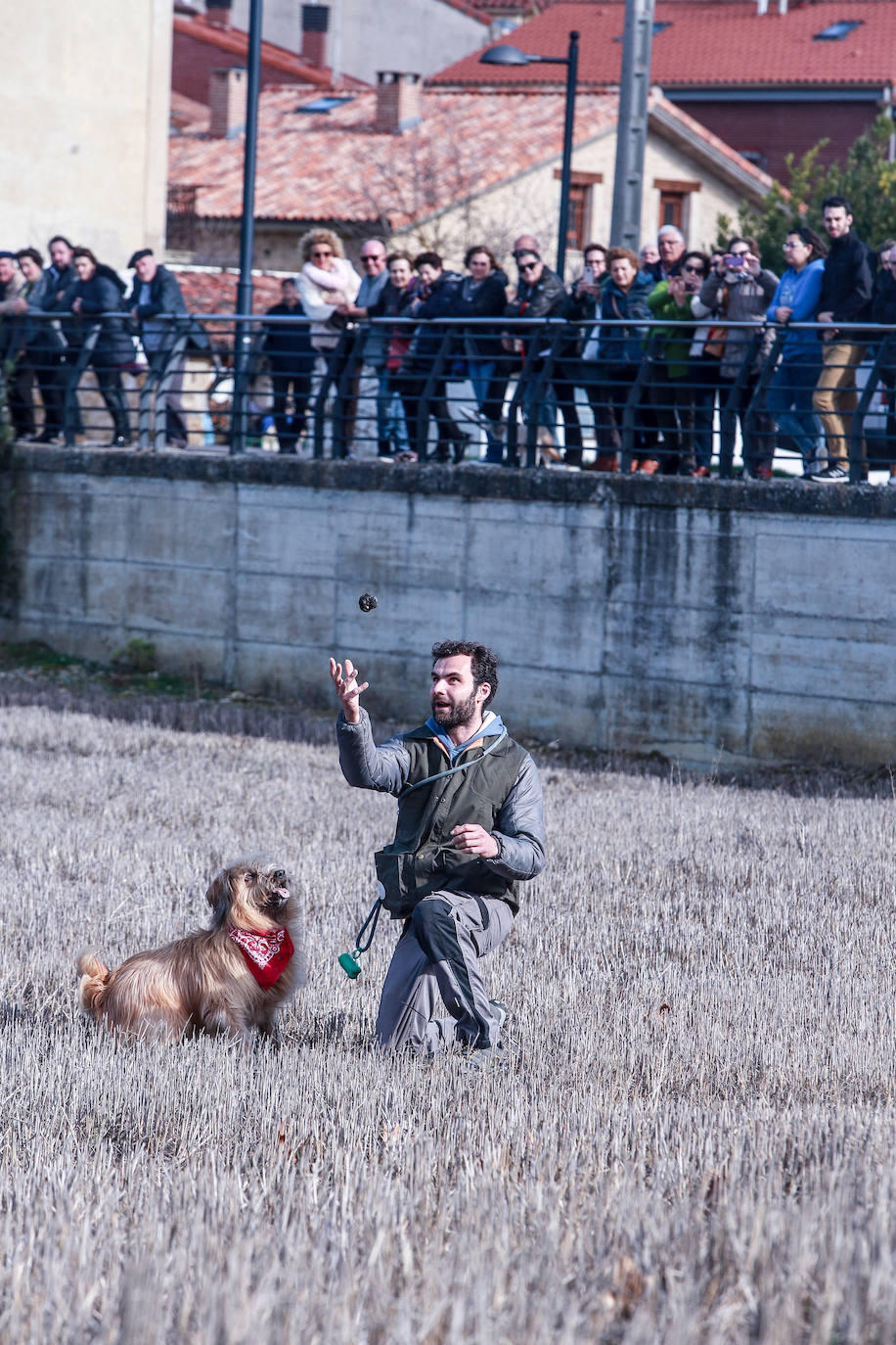 Fotos: Rivabellosa husmea la mejor trufa