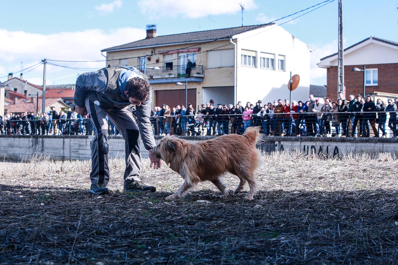 Fotos: Rivabellosa husmea la mejor trufa
