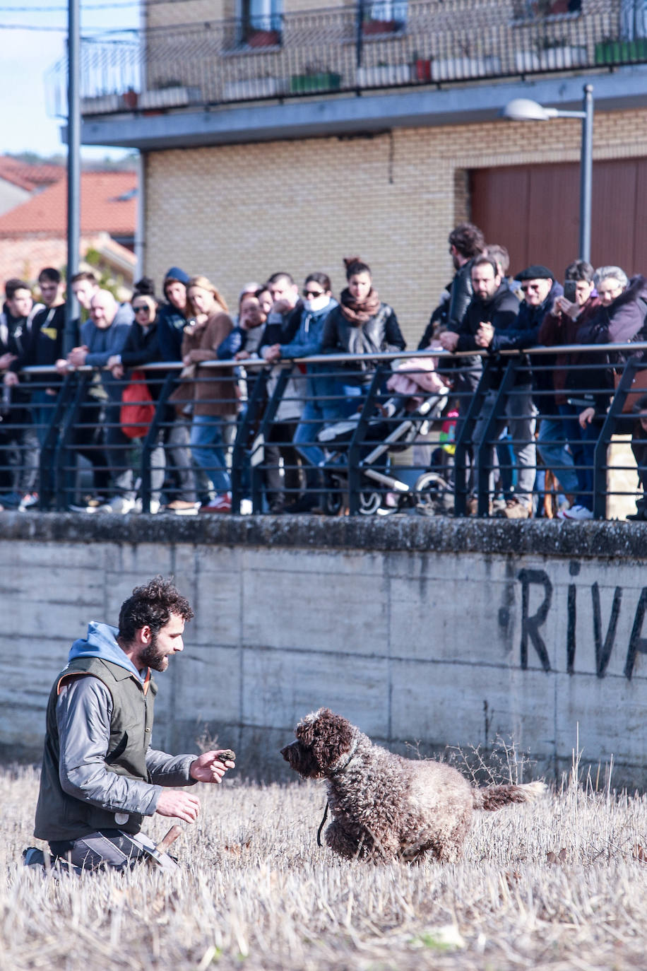 Fotos: Rivabellosa husmea la mejor trufa
