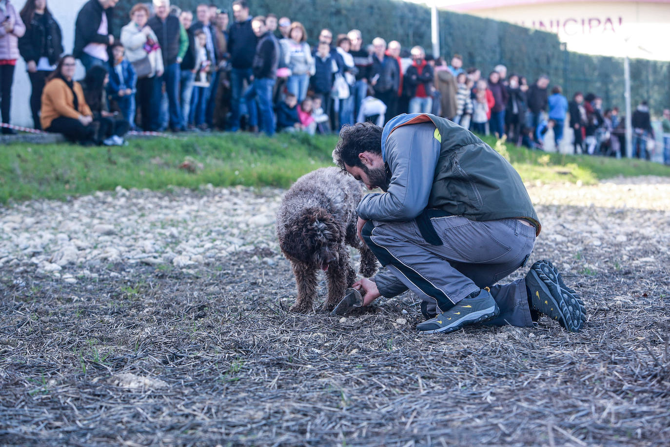 Fotos: Rivabellosa husmea la mejor trufa