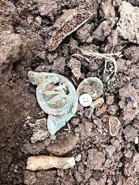 Fotos: Hallan diez esqueletos en la primera fosa carlista de Euskadi