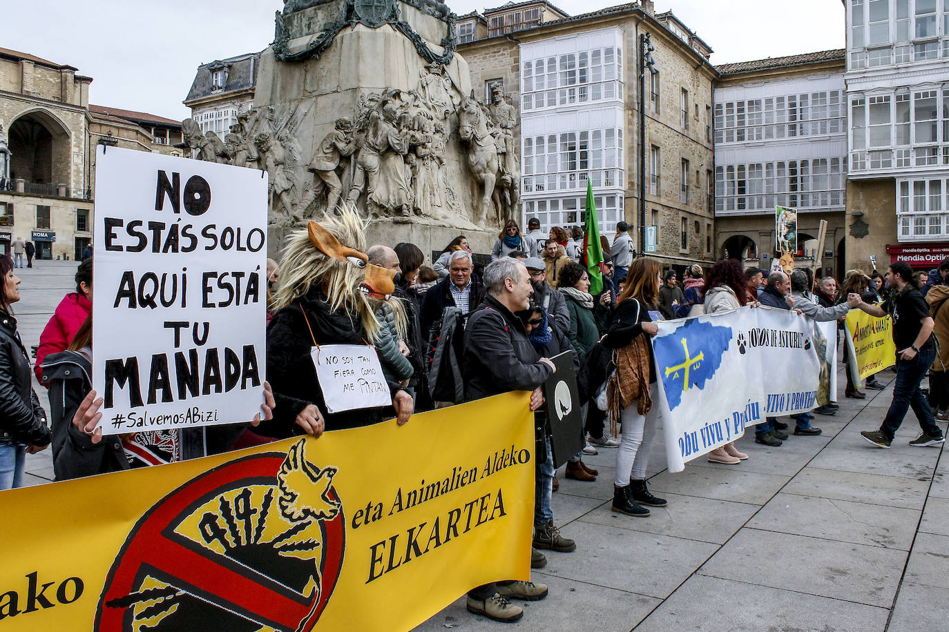 Fotos: El lobo no está sólo en Álava