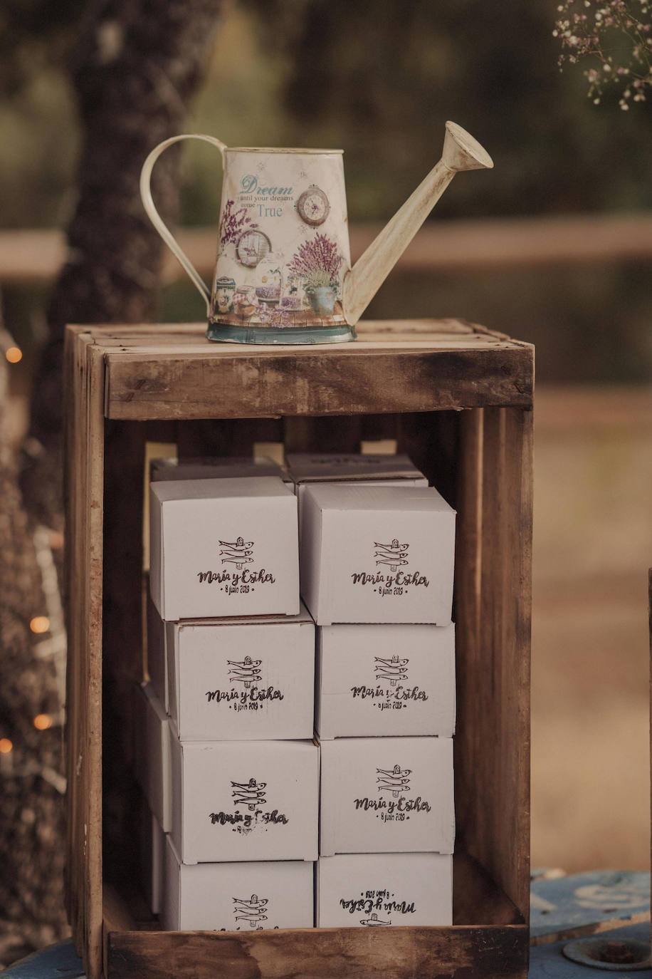 Fotos: Besos en Castro y boda en Madrid: la historia de amor de Esther y María bajo el prisma de un fotógrafo vizcaíno