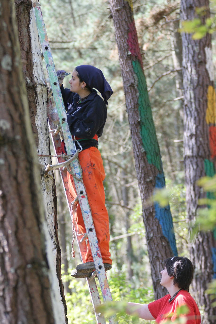 Alumnos de la UPV restauran los árboles del Bosque Pintado de Ibarrola, en abril de 2006.