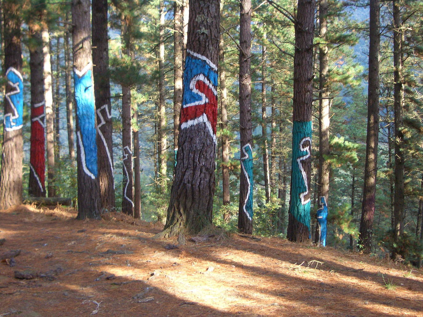Vista del bosque de Oma, pintado por Agustín Ibarrola.