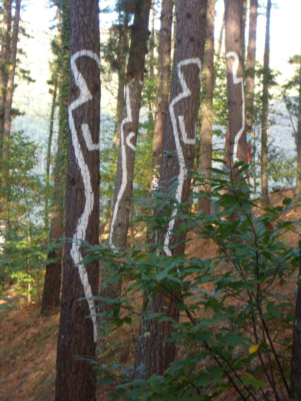 Vista del bosque de Oma, pintado por Agustín Ibarrola.