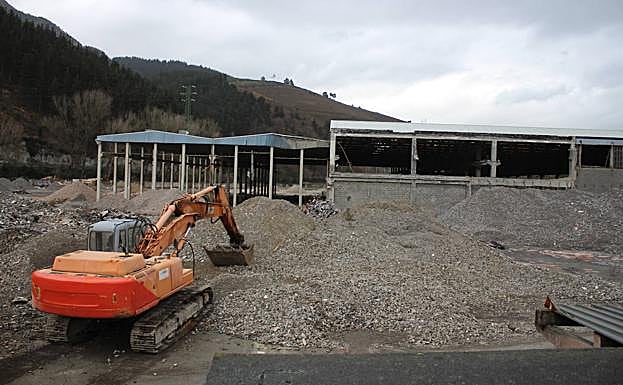 El terreno se está despejando para construir nuevos pabellones.