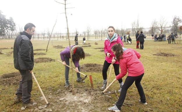 Los assitentes a la jornada recibirán pautas sobre cómo plantar frutales. 