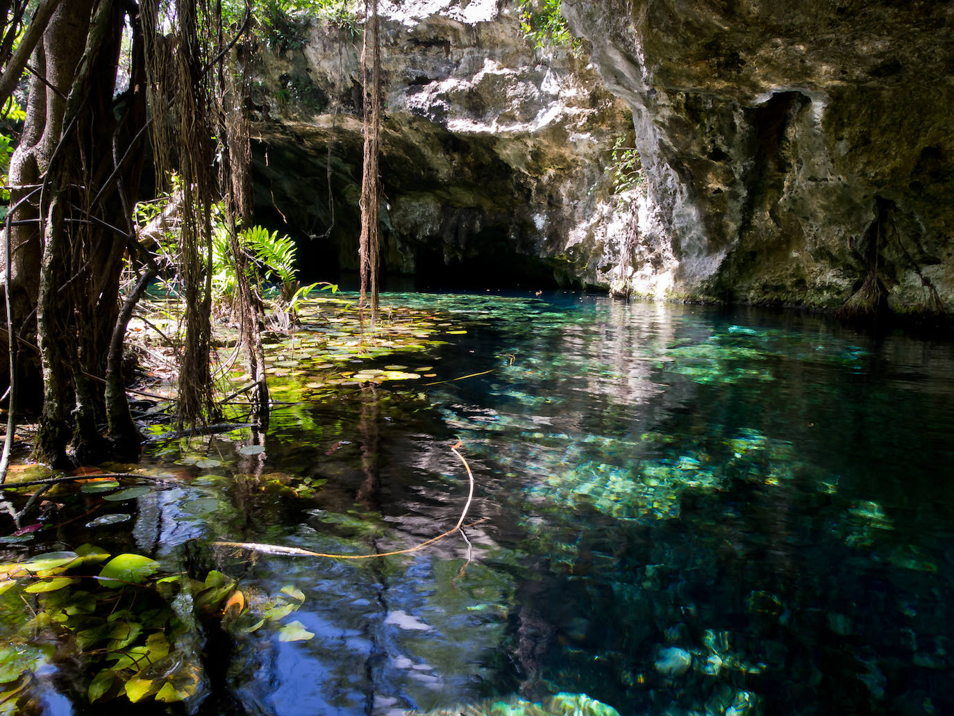 El sistema Sac Actún (264 kilómetros de longitud) y el cenote Dos Ojos (84 kilómetros de longitud) son las cuevas subterráneas más largas jamás exploradas. Ambas están en la península mexicana de Yucatán.