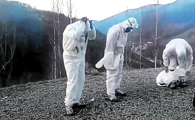 El amianto es un material nocivo para la salud, que puede provocar cáncer.