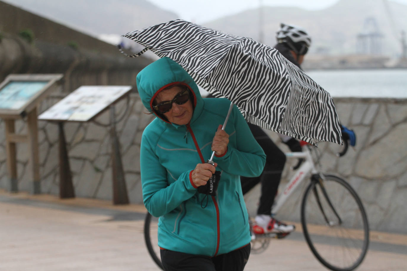 Los pocos valientes que salieron al paseo de Ereaga (Getxo) para dar un paseo sufrieron los fuertes vientos del temporal.